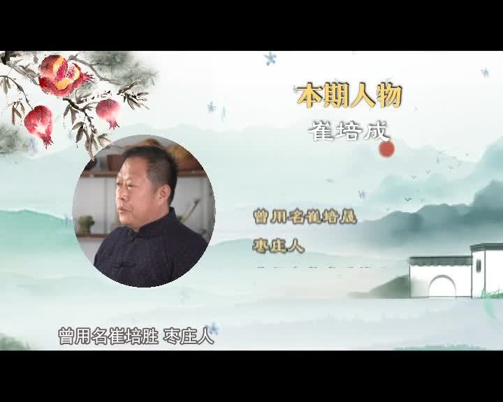 《水墨枣庄》之《气韵与精神》专访石榴画家崔培成