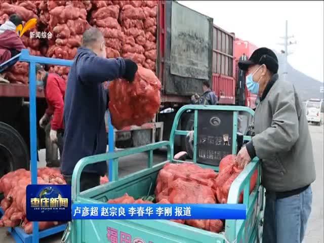 山亭:甜蜜地瓜枣 打造致富路