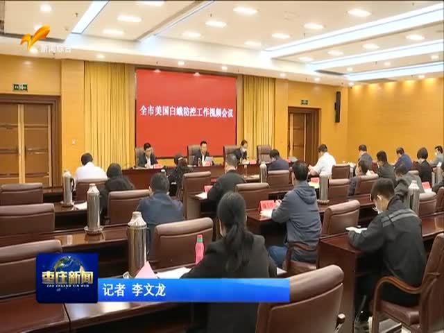 全市美国白蛾防控工作视频会议召开