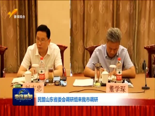 民盟山东省委会调研组来我市调研