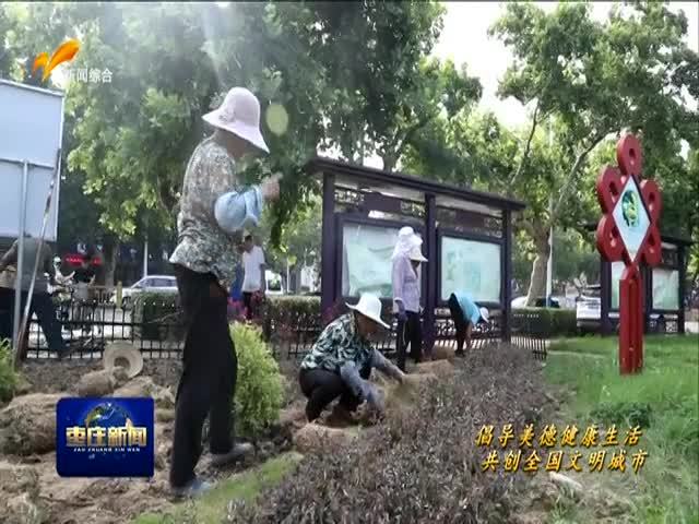 台儿庄:打造花境公园 扮靓城区环境
