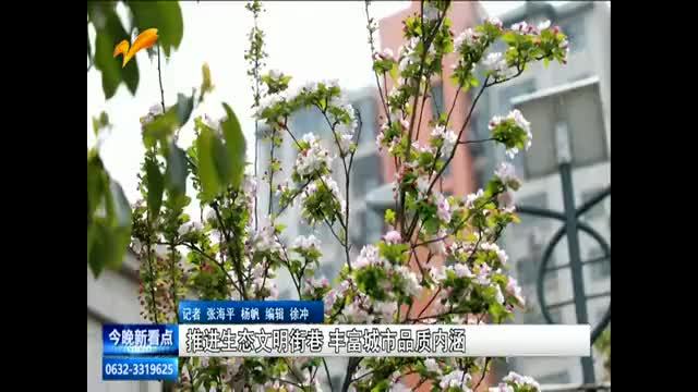 推进生态文明街巷 丰富城市品质内涵